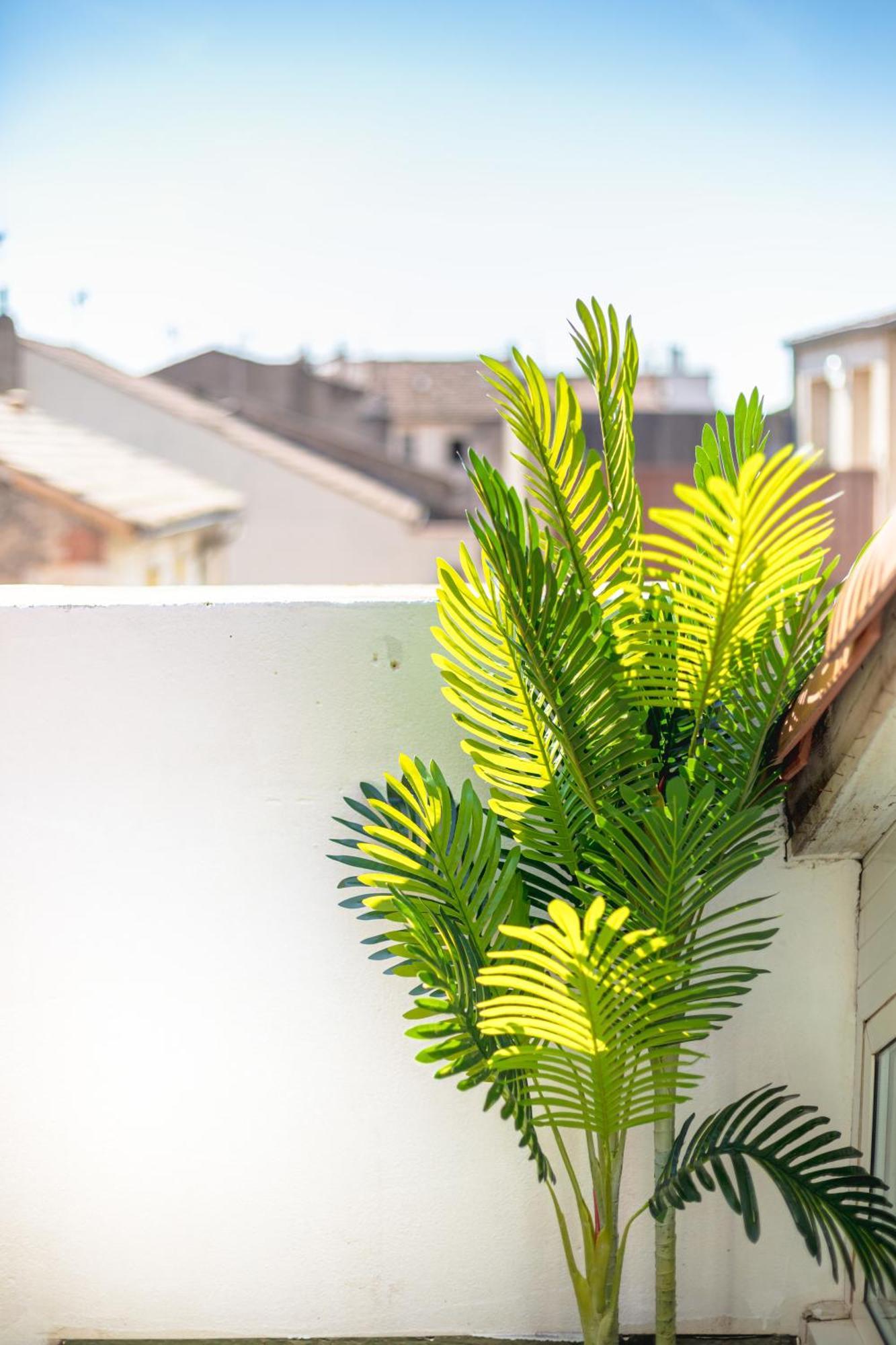 Le Albert 1Er Beziers Appartements Tout Equipes 외부 사진
