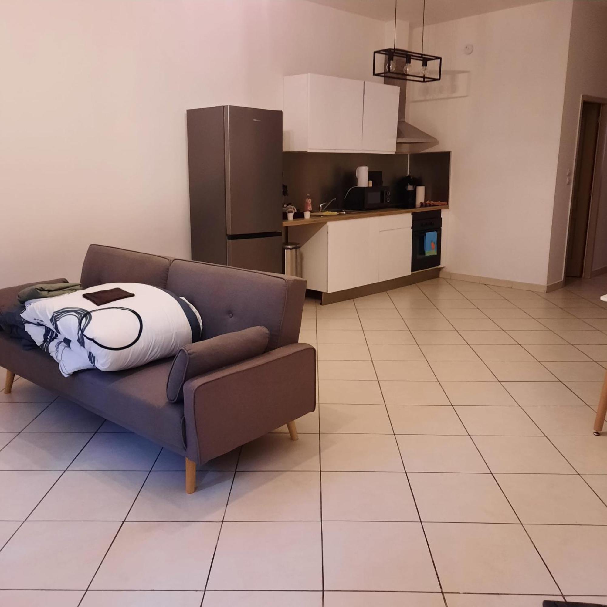 Le Albert 1Er Beziers Appartements Tout Equipes 외부 사진